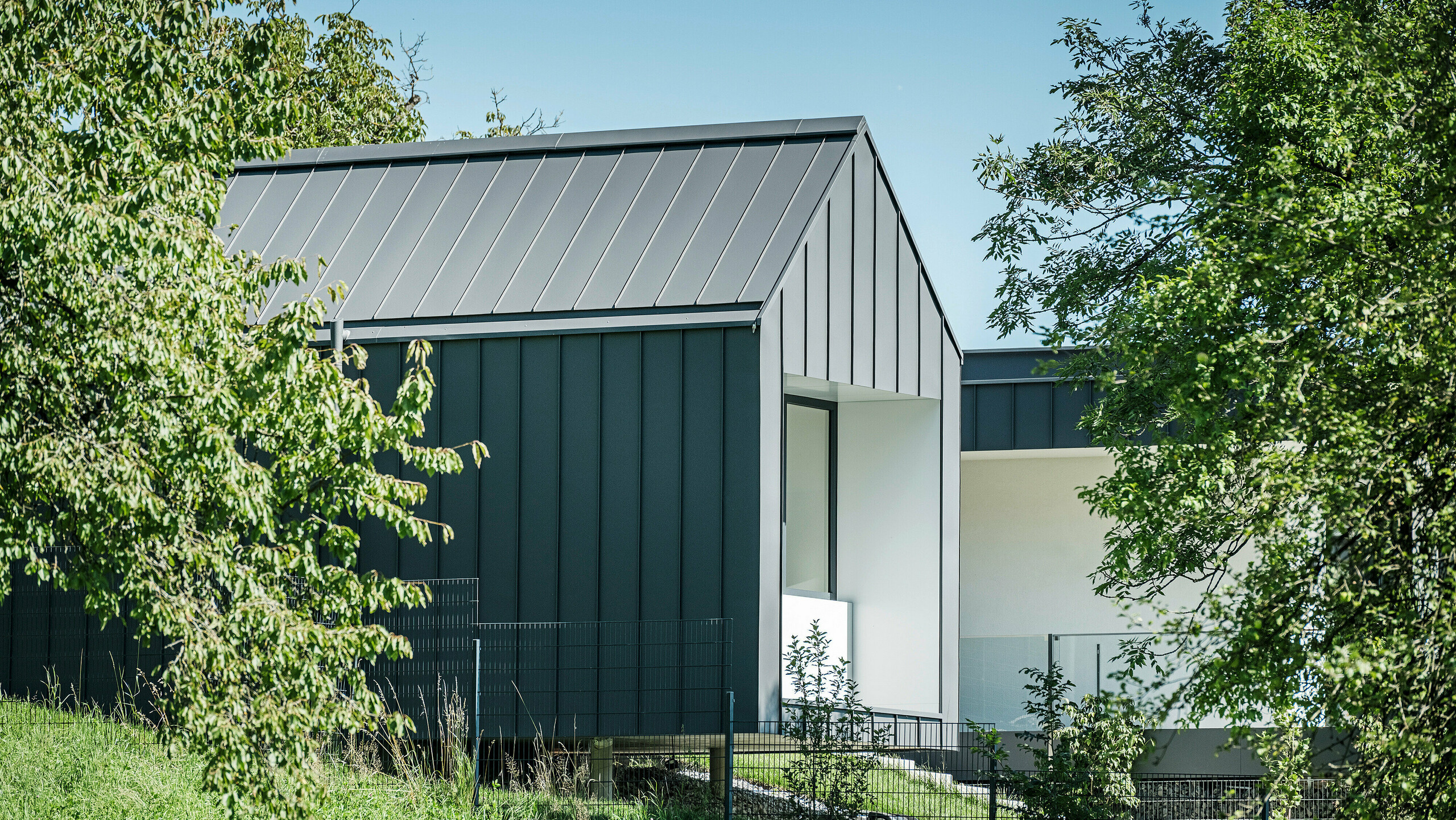 Pohľad cez sviežu zeleň na rodinný dom v rakúskom Pogieri, vybavený strechou a fasádou od firmy PREFA vo farbe tmavošedá P.10. Čisté línie a tmavé farby hliníkových prvkov vytvárajú elegantný kontrast k svetle omietnutej fasáde krytých priestorov a okolitej prírody. Loggia ponúka chránený vonkajší priestor, ktorý zdôrazňuje prepojenie vnútra a exteriéru a vytvára príjemnú atmosféru bývania