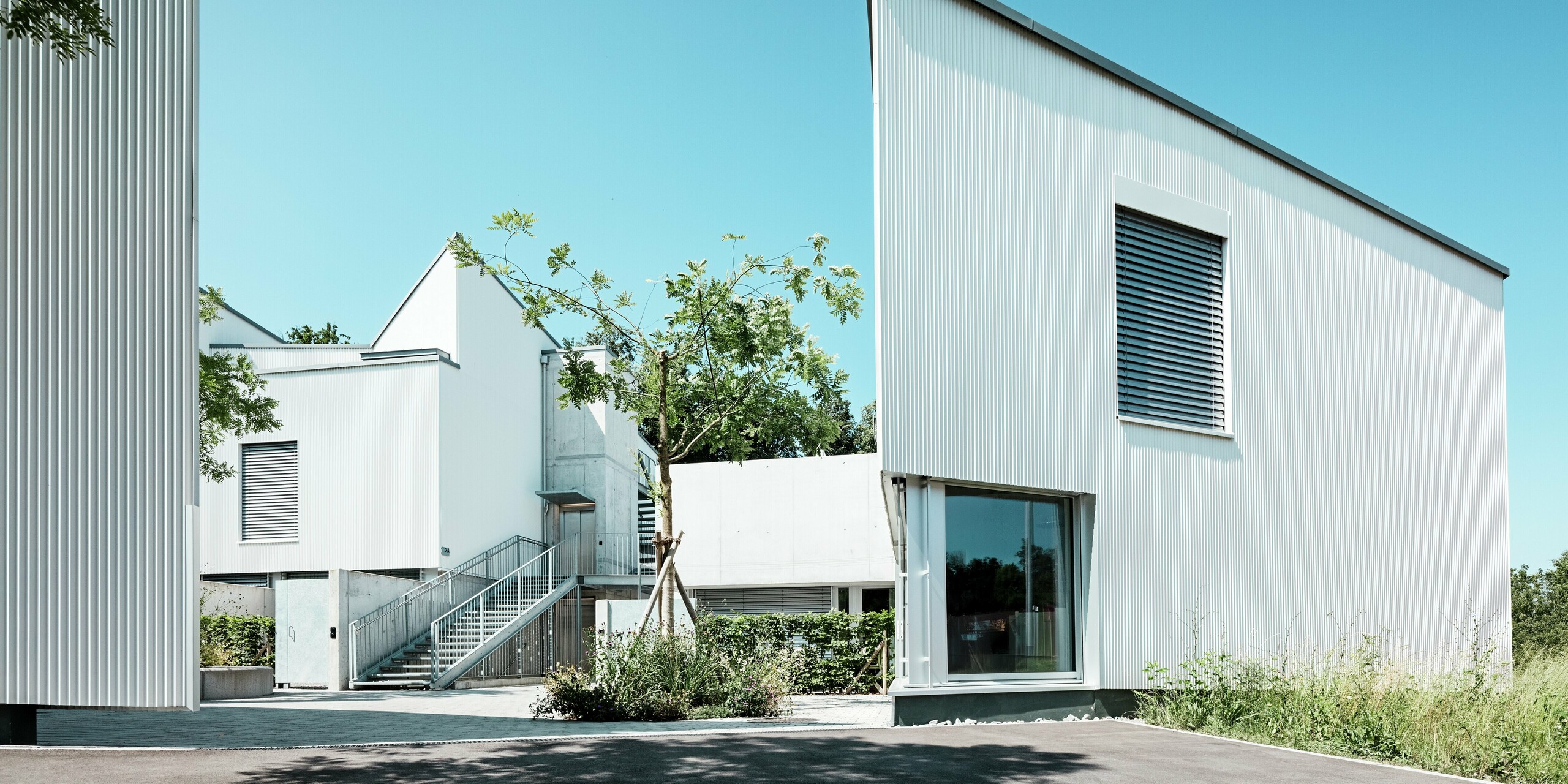 Harmonisches Zusammenspiel aus Architektur und Natur: Die modernen Tiny Homes in Zollikerberg mit PREFA Zackenprofil in P.10 Reinweiß zeigen sich klar strukturiert und witterungsbeständig. Raffinierte Dachformen und vertikale Fassadenlinien sorgen für Dynamik, während die Aluminiumhülle langlebigen Schutz und wartungsarme Eleganz für nachhaltige Wohnlösungen bietet.