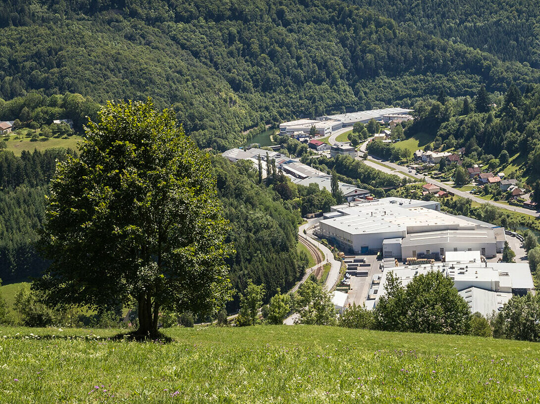 Snímka závodu PREFA v Marktli z okolitého kopca, v popredí stojí strom na zelenej lúke, v pozadí je vidieť veľkoplošné Lilienfeldské lesy