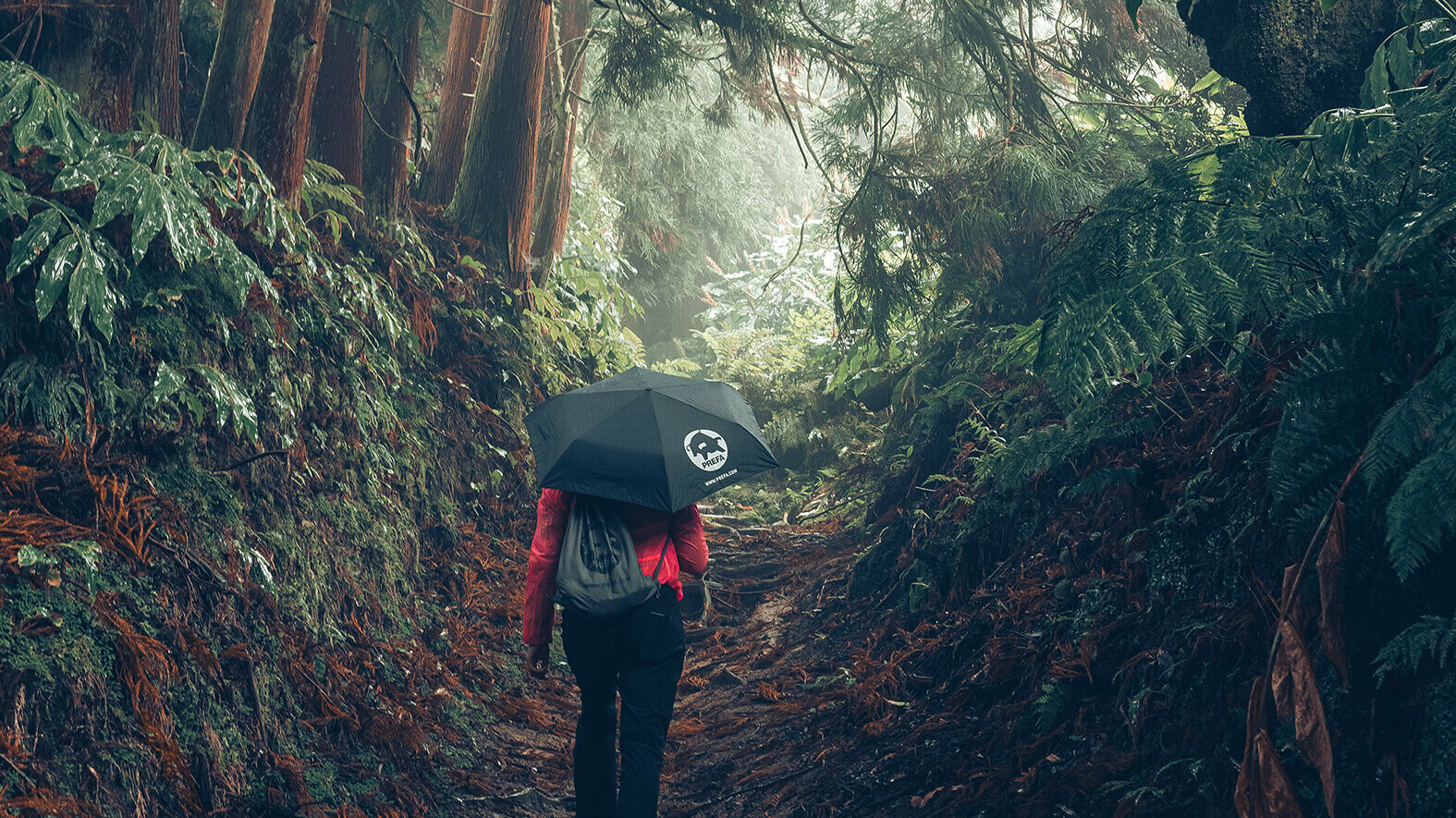 Snímka v lese s turistkou v červenej bunde s dáždnikom PREFA a vreckom na cvičenie, symbolizuje ochranu životného prostredia a trvalú udržateľnosť PREFA, ako aj obehové hospodárstvo a recykláciu.